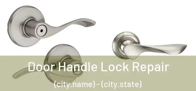 Door Handle Lock Repair (city.name) - (city.state)